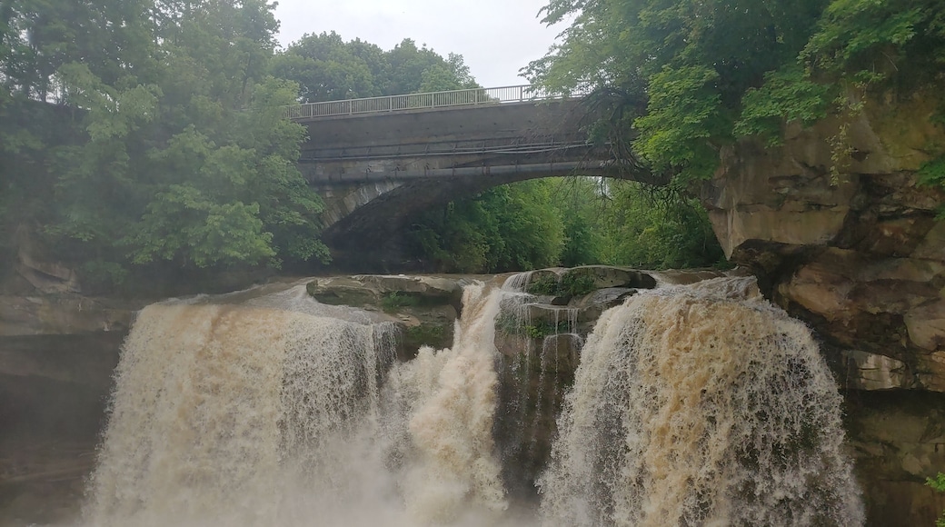 The west falls at Cascade Park were too raging to get a long exposure shot because the observation deck was like a water ride at an amusement park.