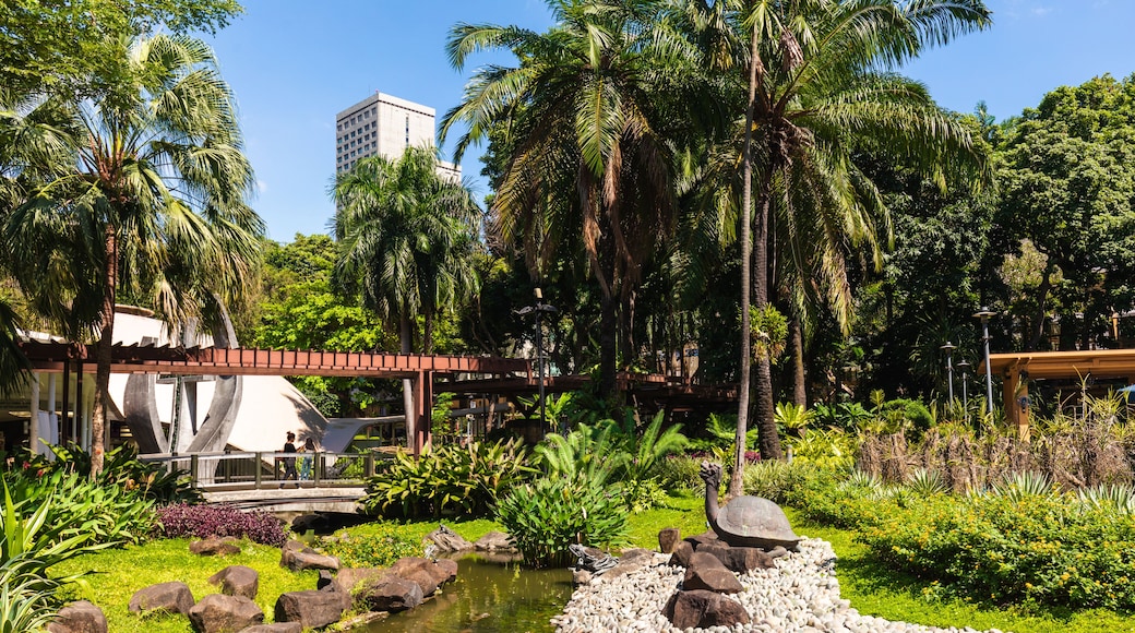 Scene of Greenbelt Shopping Mall garden at Makati district