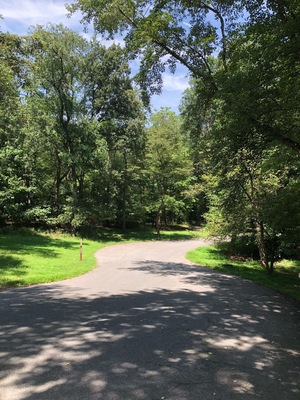 Just 12 miles from downtown DC it’s only $20 per night to camp.  Make your reservations online because that’s the only way to book at recreation.gov