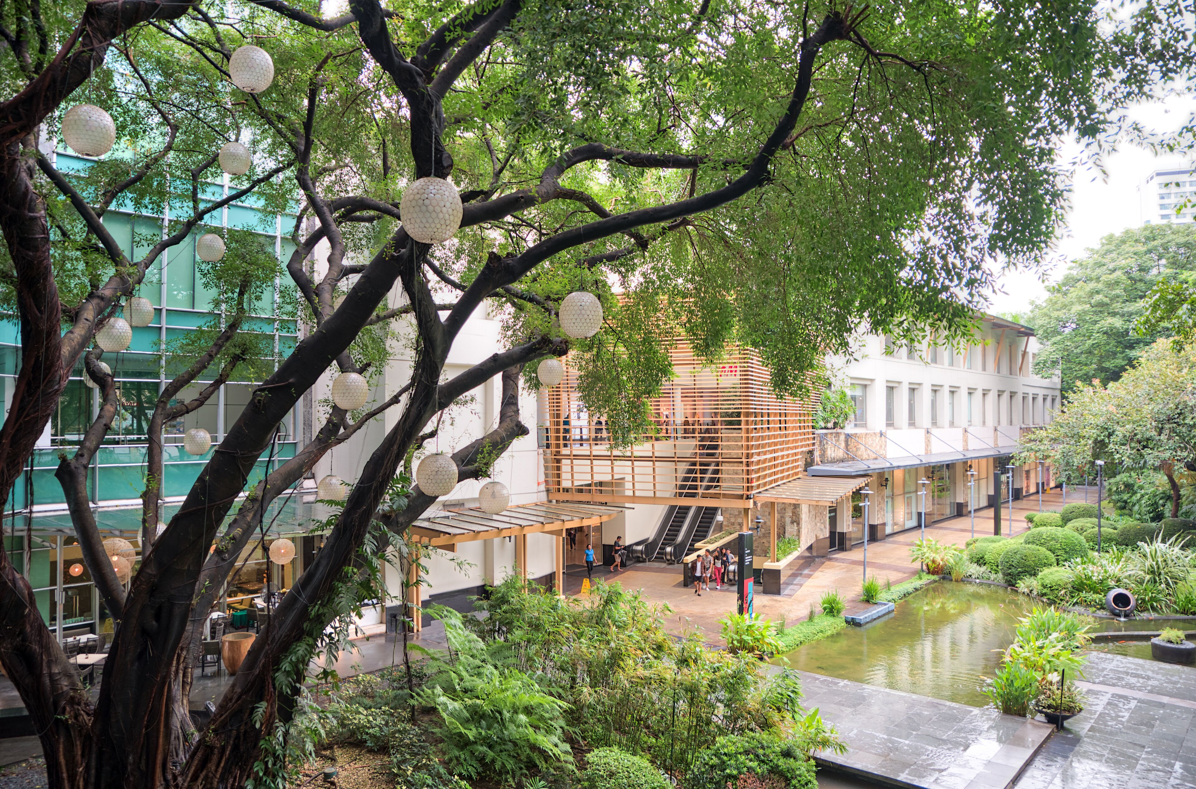 A modern building with a glass facade, a tree-lined courtyard, and a small pond.