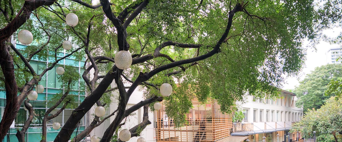 A modern building with a glass facade, a tree-lined courtyard, and a small pond.