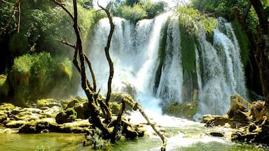 A small exceprt of the Kravica waterfalls - breath-taking view !