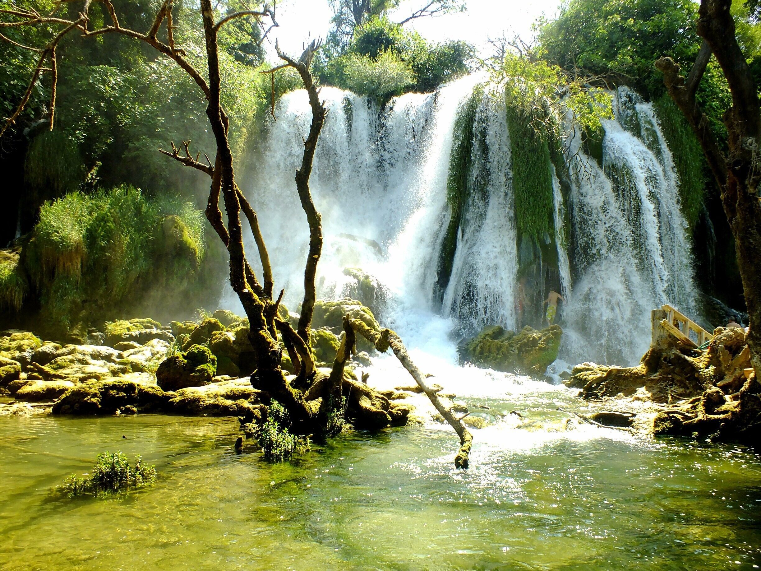 A waterfall cascading over rocks in a forested area.