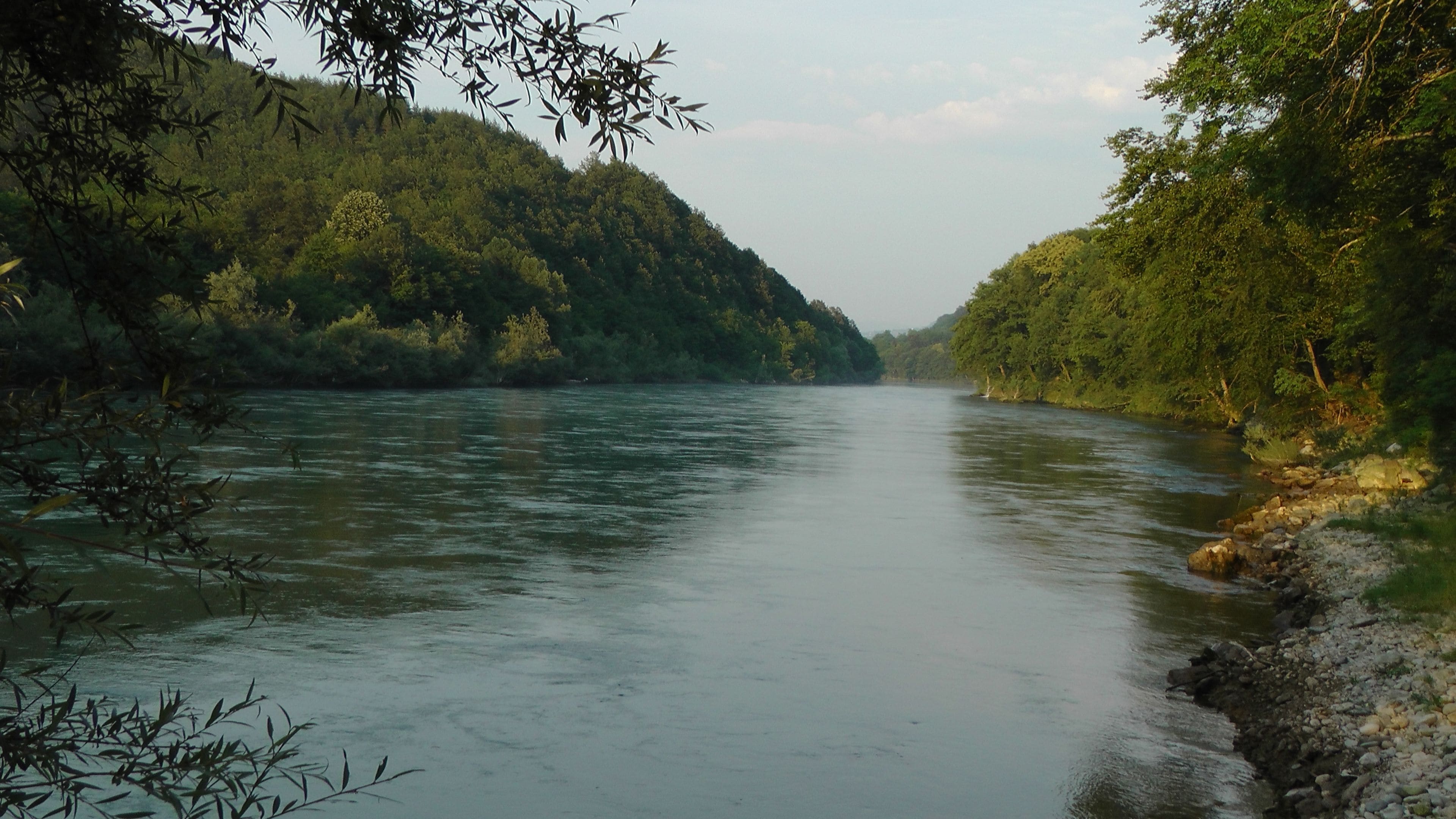 A river flowing through a forested valley with dense trees on both sides.