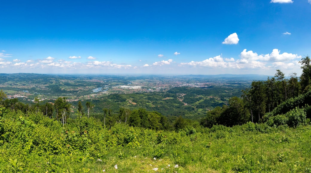A lush green landscape with a river, hills, and a clear blue sky.
