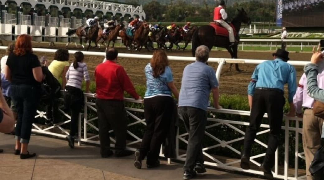 Horse races at the Santa Anita race track