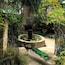 洛杉磯縣植物園及植物園