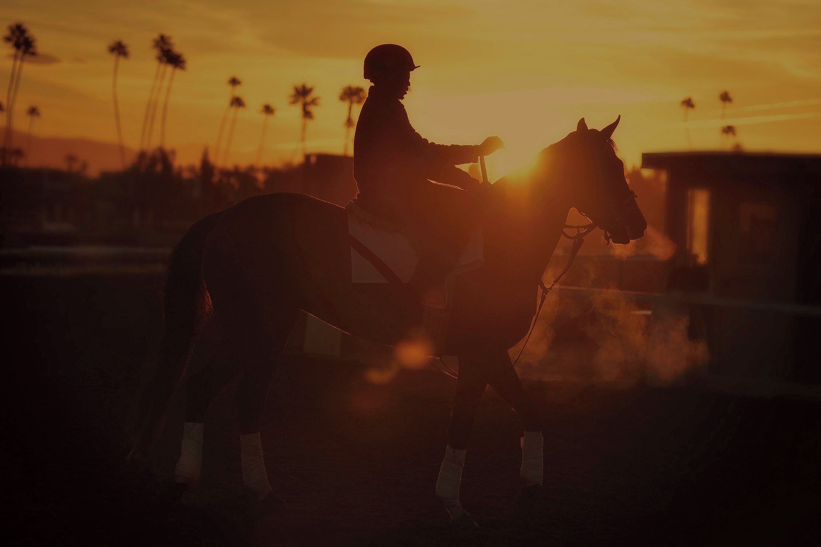 The Iconic racetrack has had it's problems as of late. No matter how you feel about racing horses. I can tell you from personal experience that being around these amazing beasts at the crack of  dawn on a frigid morning
can take your breathe away. Behind the scenes I have witnessed and photograph many times the care that these marvelous animals get is second to none. No one is more invested in their livelihood that the stable hands who give them that care. They are the unsung heroes.
#santaanita #horse #horseracing #track #jockeys #sport #travel #bet