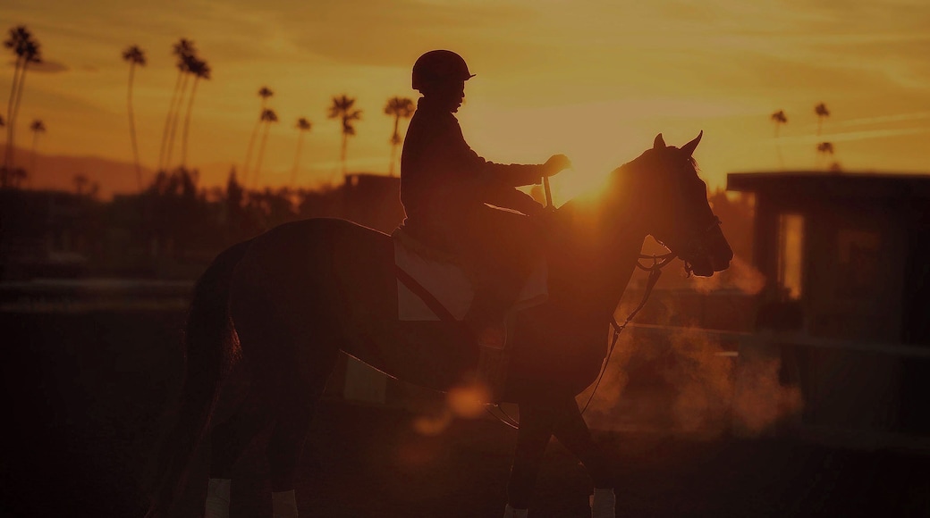The Iconic racetrack has had it's problems as of late. No matter how you feel about racing horses. I can tell you from personal experience that being around these amazing beasts at the crack of dawn on a frigid morning
can take your breathe away. Behind the scenes I have witnessed and photograph many times the care that these marvelous animals get is second to none. No one is more invested in their livelihood that the stable hands who give them that care. They are the unsung heroes.
#santaanita #horse #horseracing #track #jockeys #sport #travel #bet