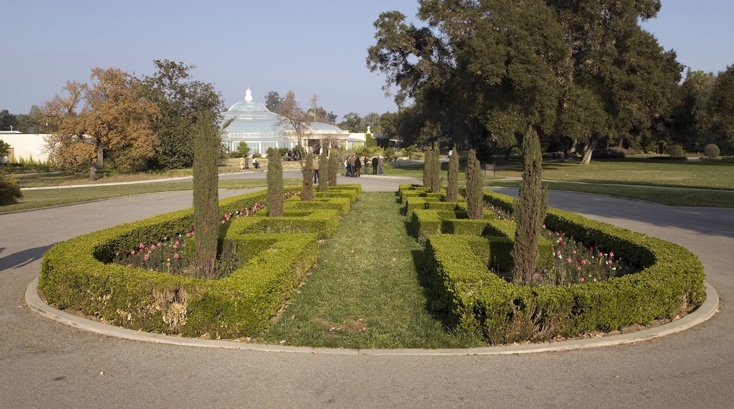 Gardens of Huntington Museum, San Marino, California