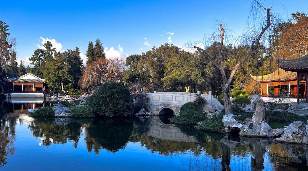 Stone Bridge Over Pond, Huntington Chinese Garden, Huntington Botanical Gardens, Arcadia, California