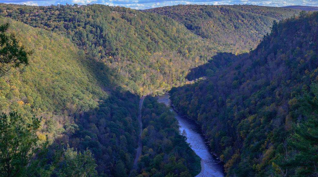 Pine Creek and the Grand Canyon of Pennsylvania at Colton State Park, in Watson Township, Pennsylvania.