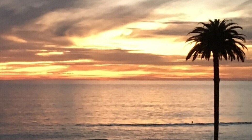 Luminous Leucadia...