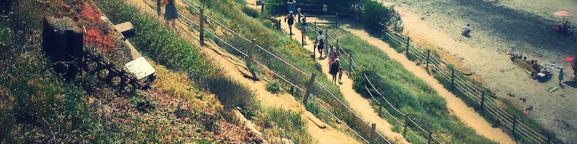 Switchback trail to the sea.
3.28.2015