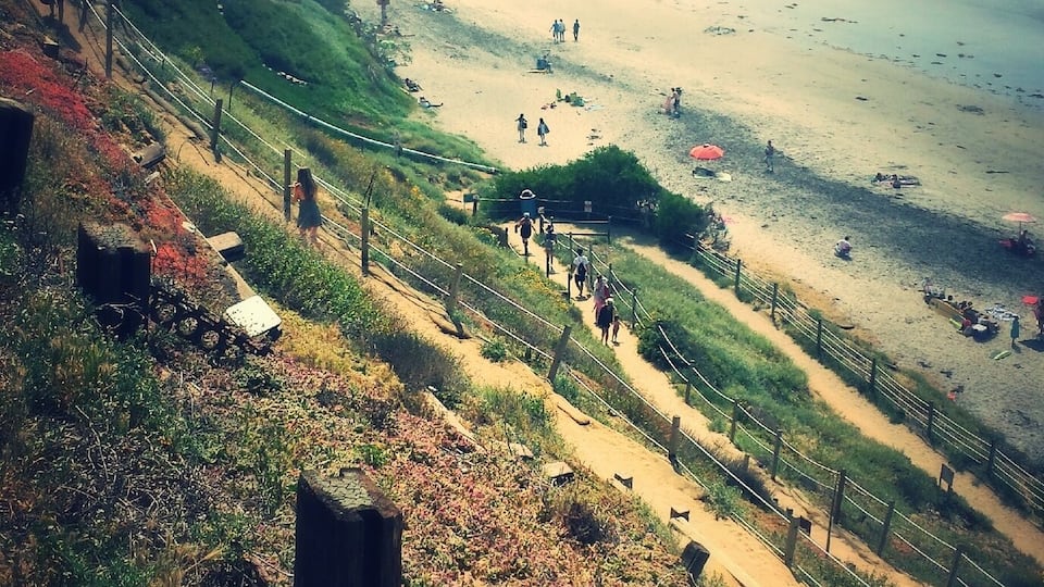 Switchback trail to the sea.
3.28.2015