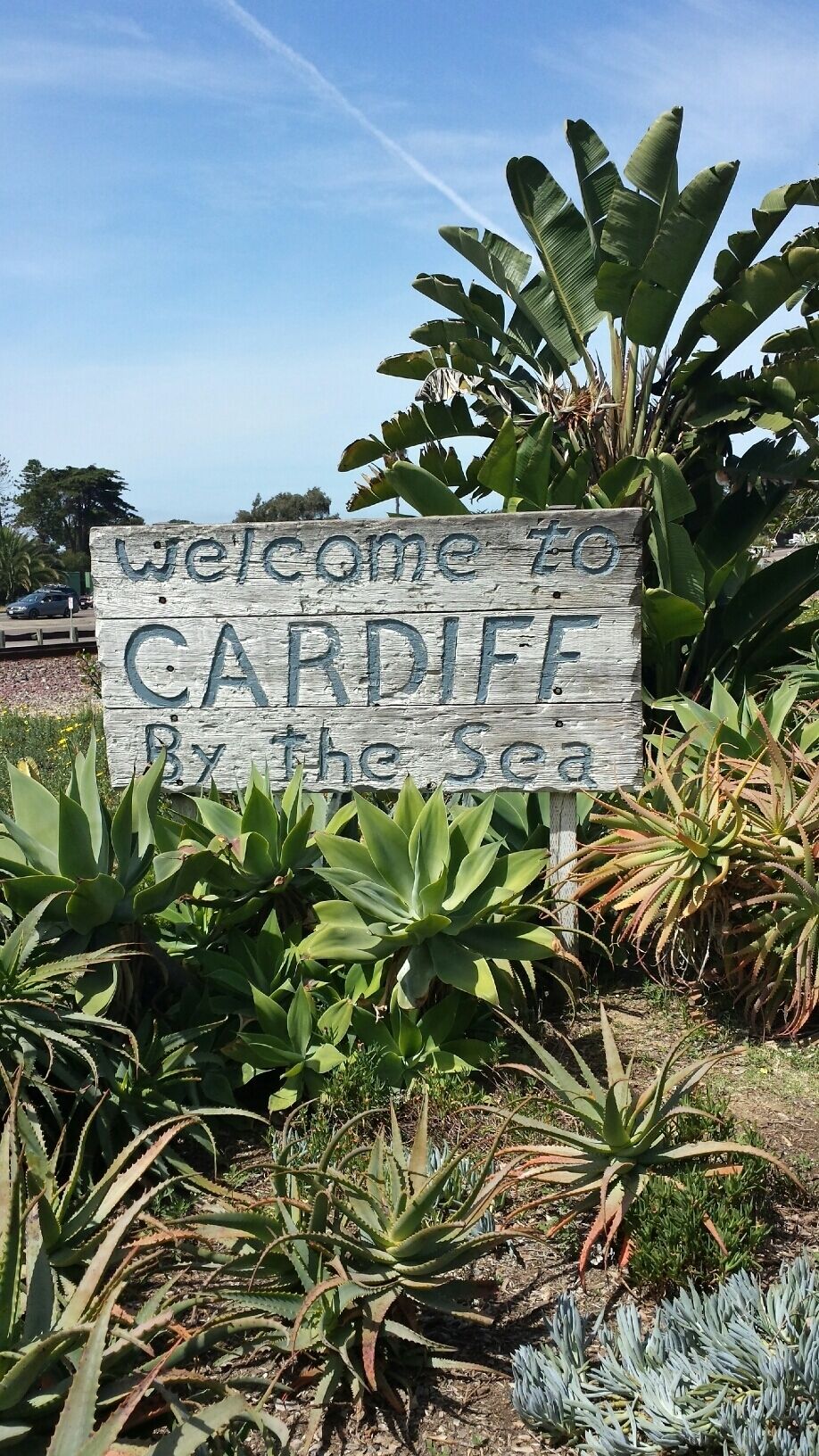 A wooden sign welcoming visitors to Cardiff by the sea, surrounded by various plants.