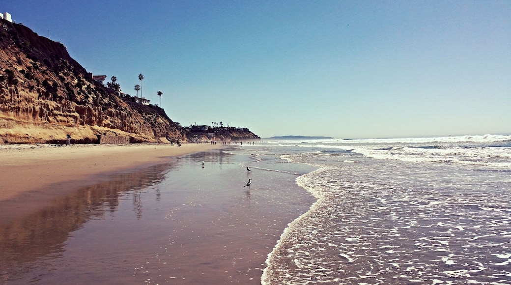 Taking a long walk from Grandview Avenue toward Moonlight State Beach.