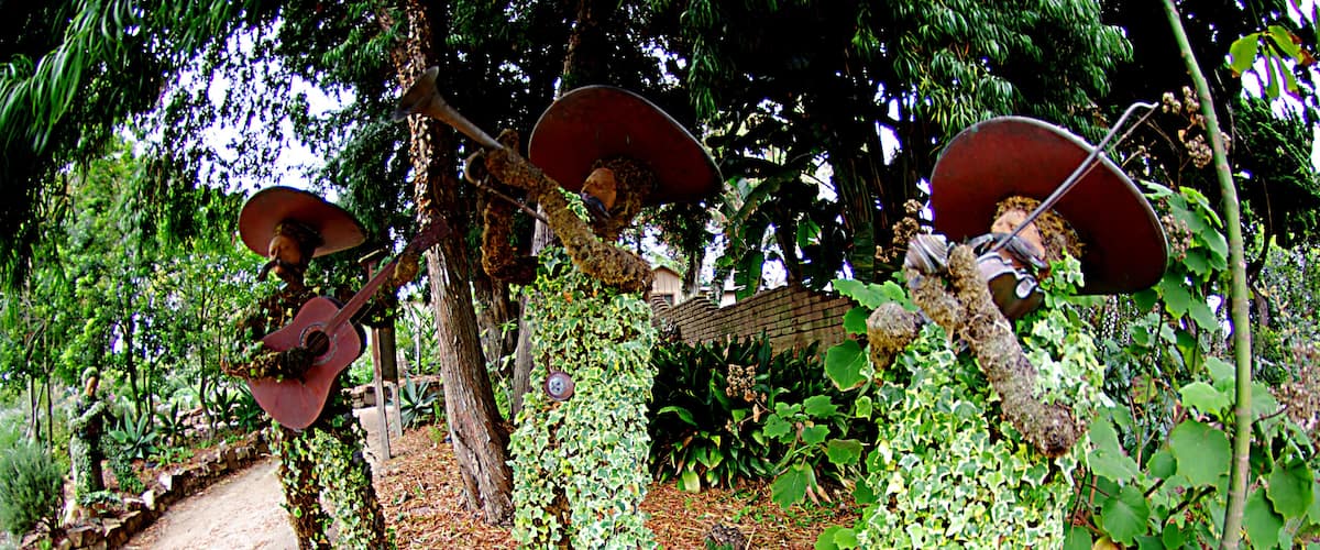 Life sized topiary (succulent) mariachi band.