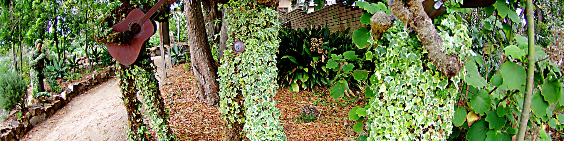 Life sized topiary (succulent) mariachi band.