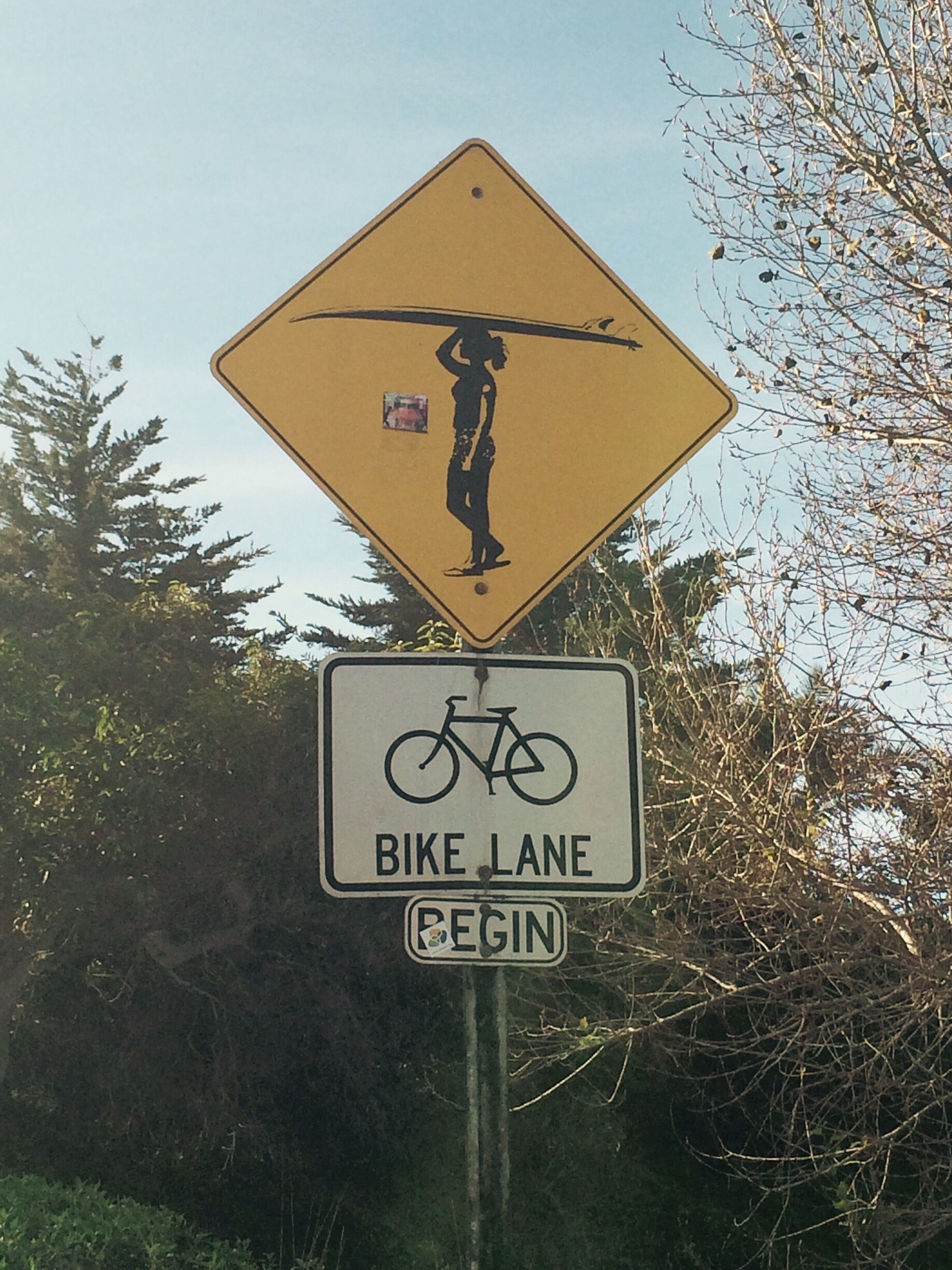 Surfing & cycling in So Cal. I've always loved these surf signs. 