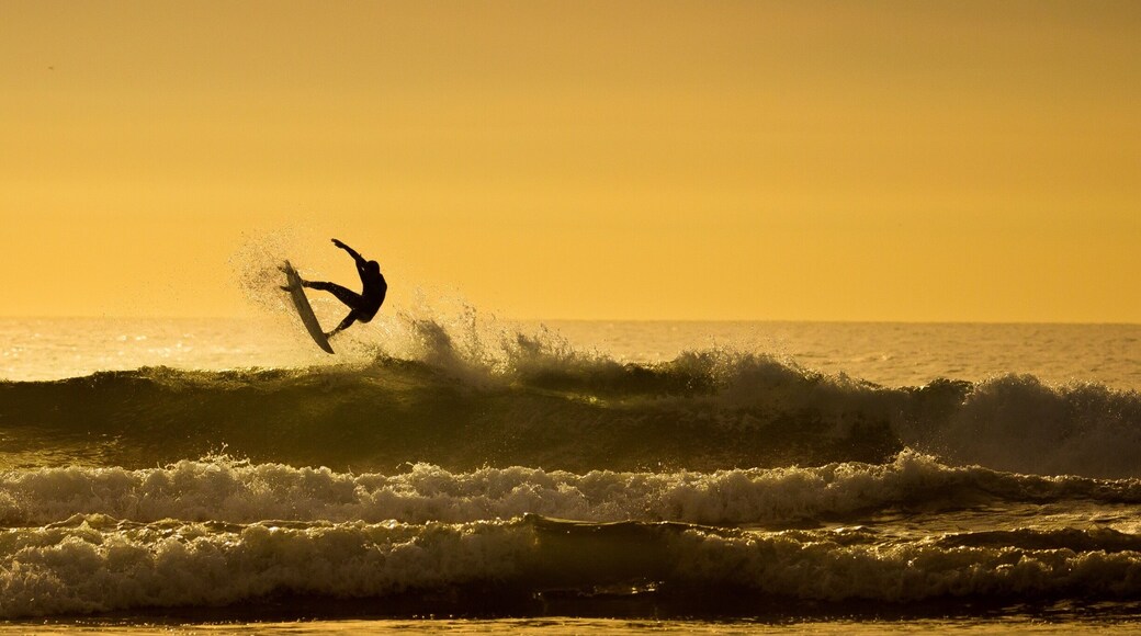 Besides having great sunsets in San Diego Encinitas has many of the best beaches in California. Having great beaches often leads to amazing surfing and surfers. This image displays not only the truthfulness of my statement but the evidence.