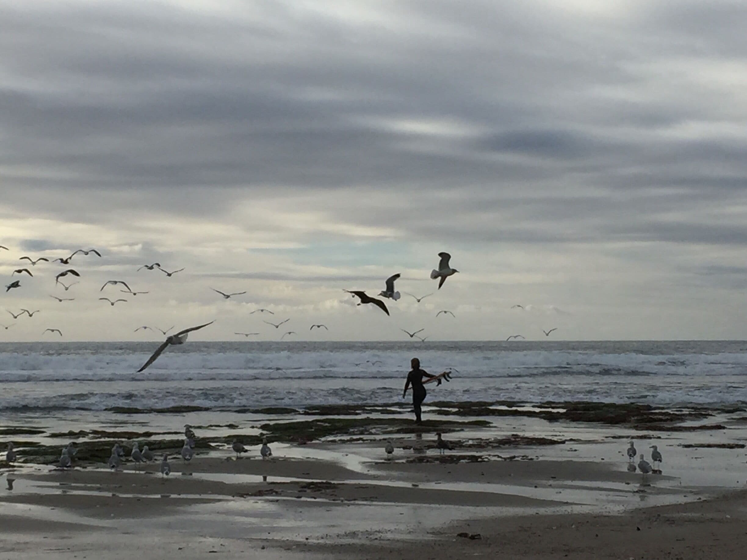 A winter mermaid emerges...