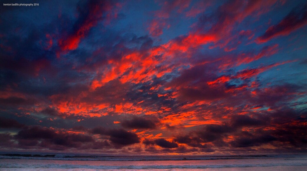 Just another day in the life of San Diego, Ca.