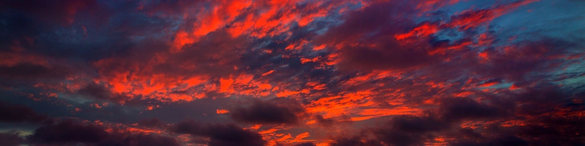 Just another day in the life of San Diego, Ca.