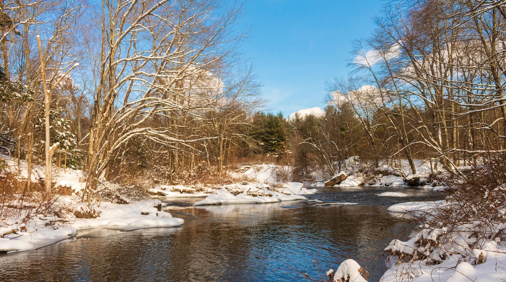 Scantic River in the winter