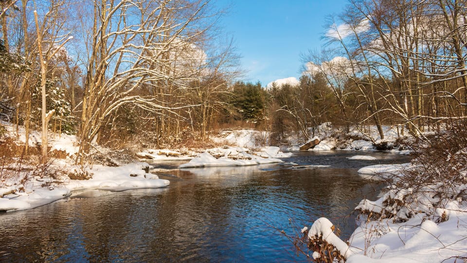 A snow-covered river with bare trees and a clear blue sky.