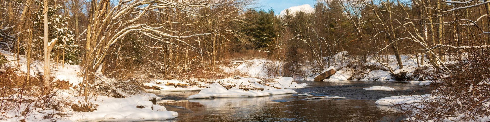 Scantic River in the winter