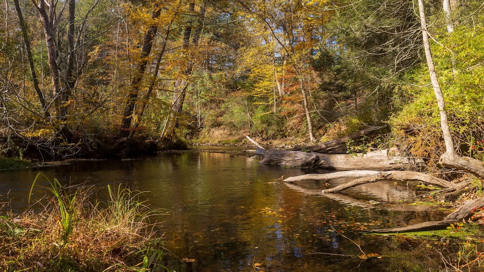A calm river surrounded by autumn-colored trees and a fallen log in the water.