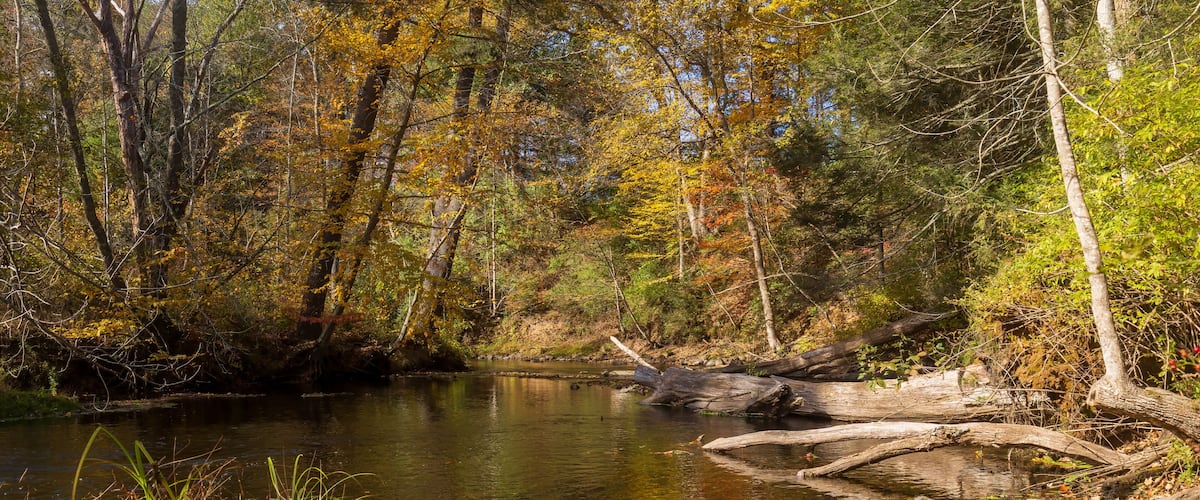 A calm river surrounded by autumn-colored trees and a fallen log in the water.