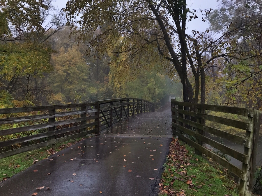 Rainy day excursion