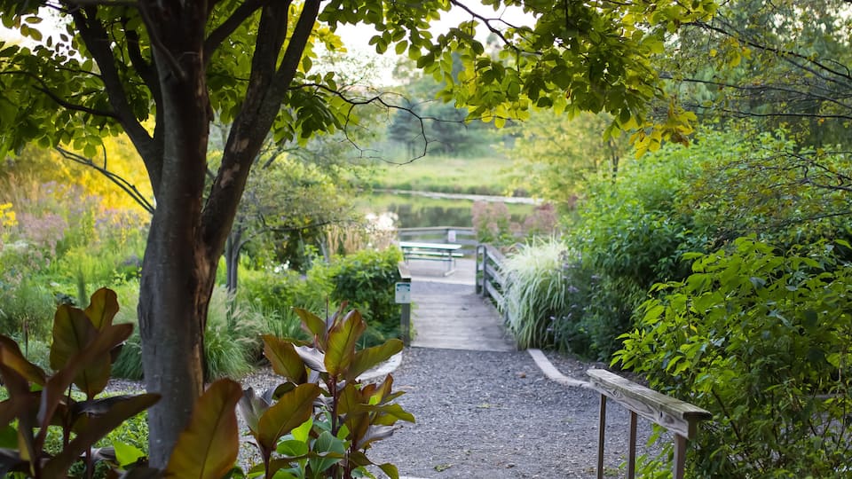 Scenic Michigan state university tollgate farm in Farmington Hills , Michigan