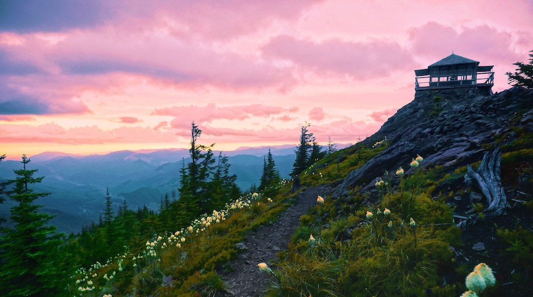 Summer Sunsets #adventure #colorful #nature #hiking #backpacking #pnw #sunset
