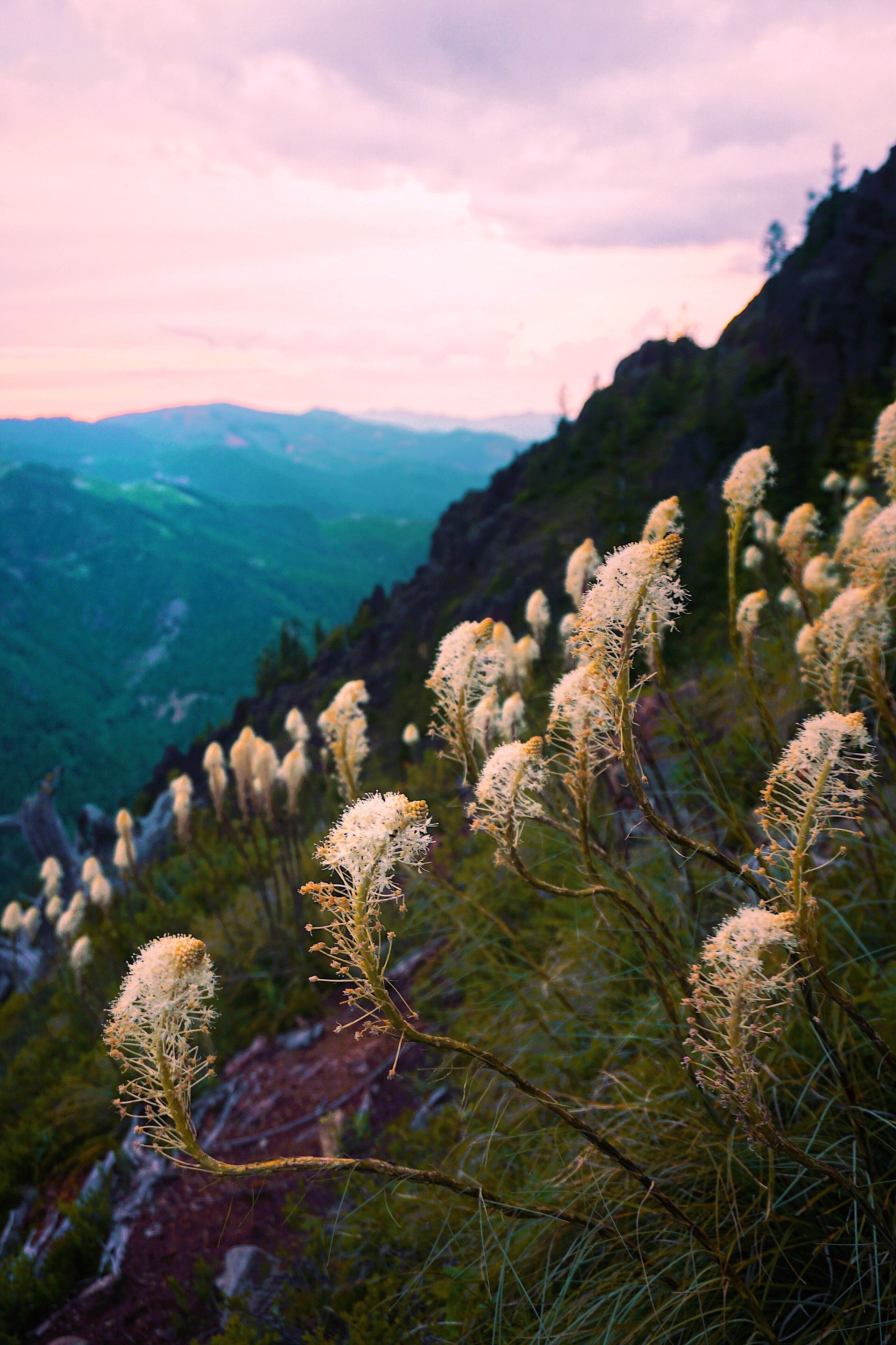 Sunset Hiking   #adventure #colorful #nature #hiking #backpacking #pnw #sunset