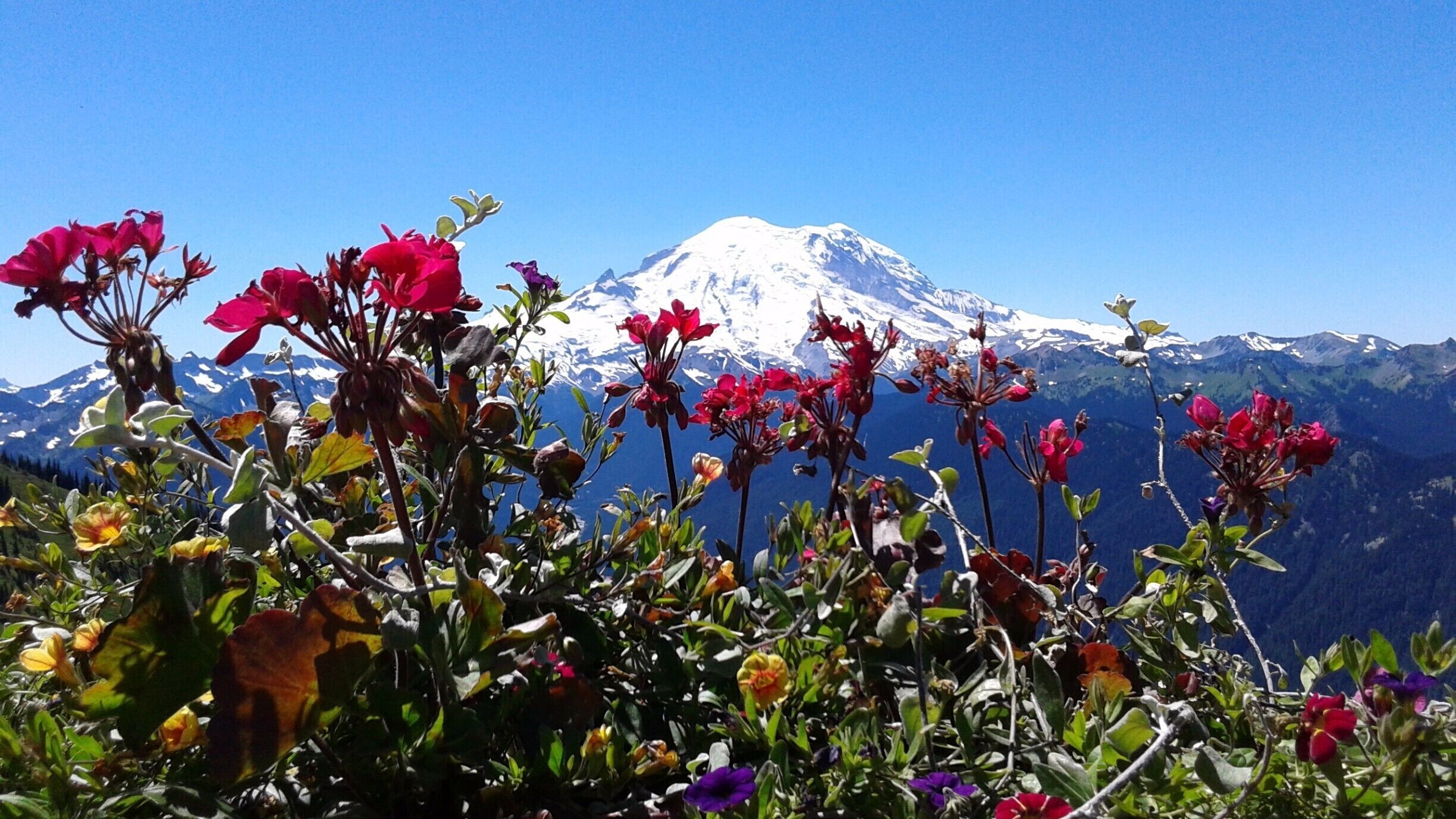 Summertime lunch at Crystal Mountain. Amazing. #LifeAtExpedia
