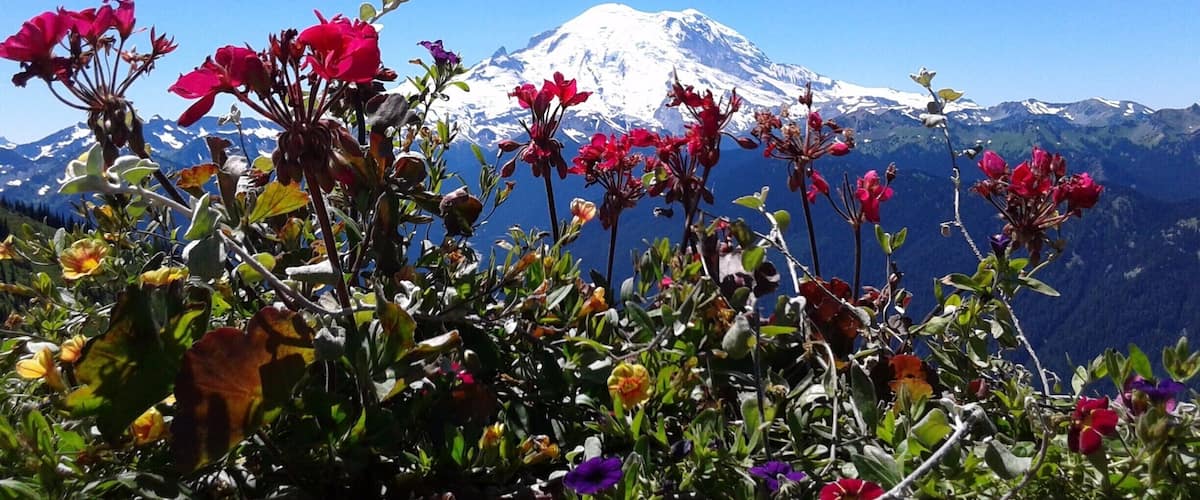 Summertime lunch at Crystal Mountain. Amazing. #LifeAtExpedia