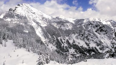 Fresh snowfall at Crystal