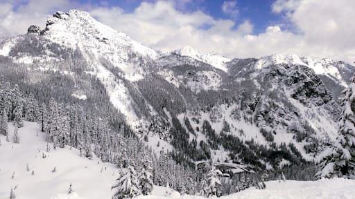 Fresh snowfall at Crystal