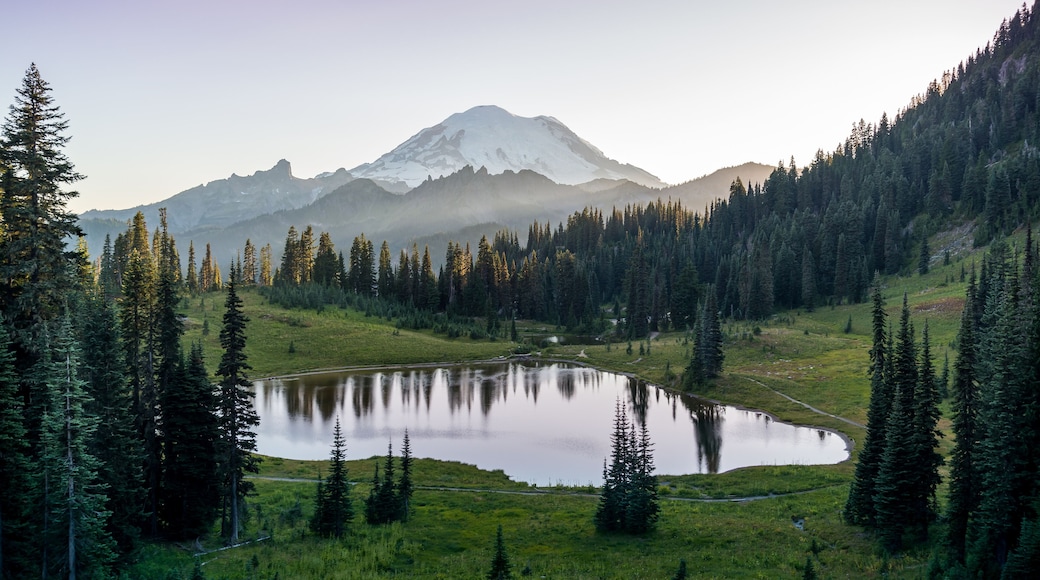 Sun setting over Mt Rainier at Tipsoo lake in Mt Rainier national park in Washington