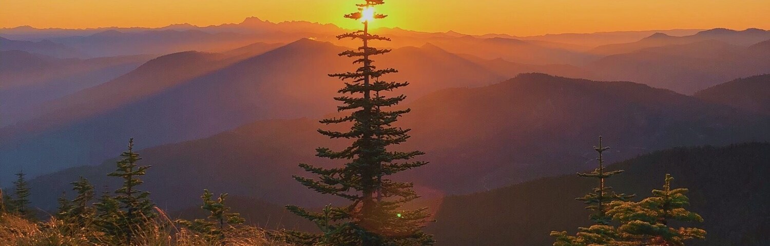 Overnight Backpacking - Hiking to Kelly Butte Lookout. Got treated to a beautiful sunrise
#washingtonstate #mountrainier #hiking #expedition #backpacking #Greatoutdoors #colorful #travel #expedian #sunrise