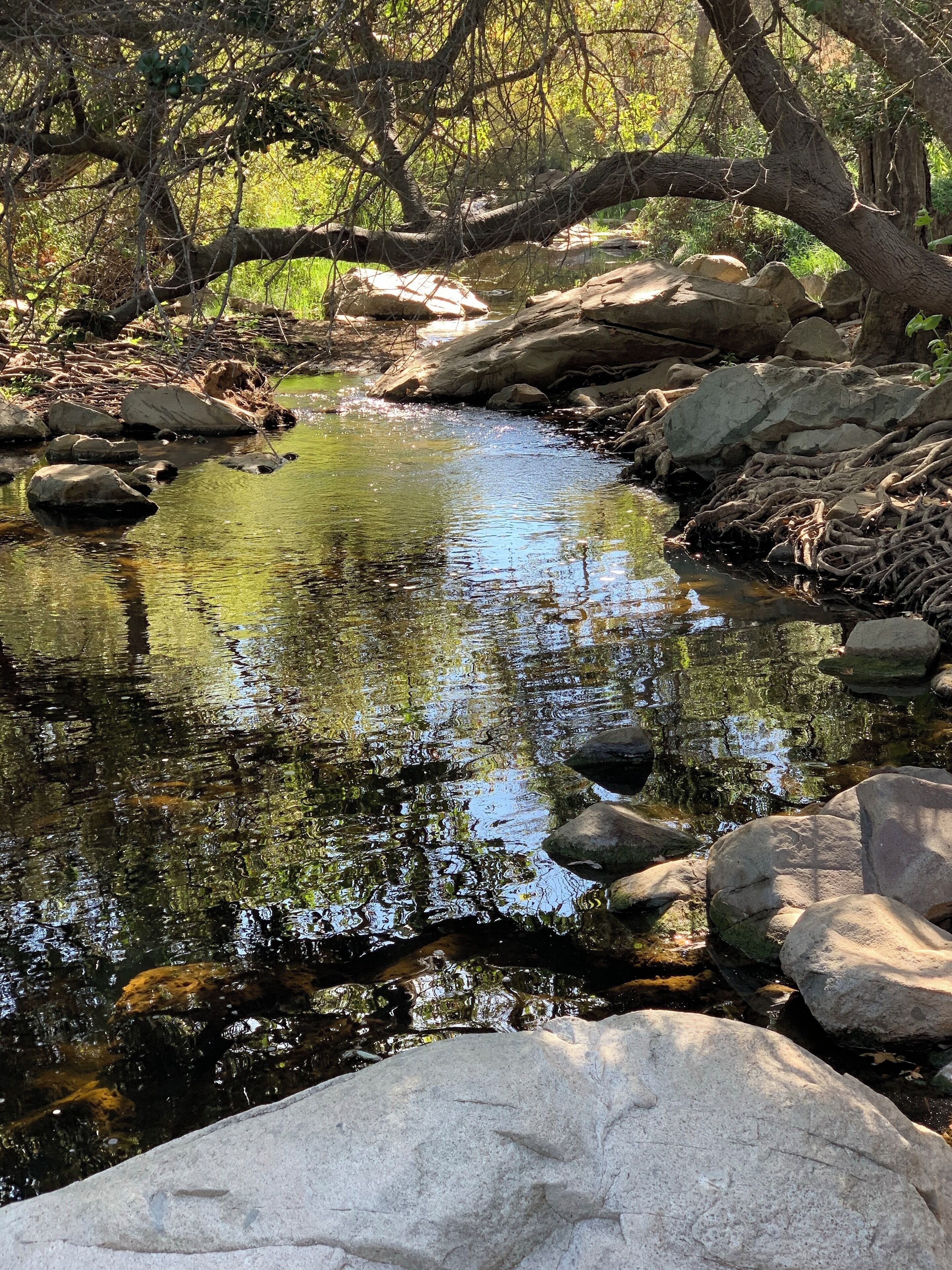 Beautiful trailhead. The views from the top are even better!