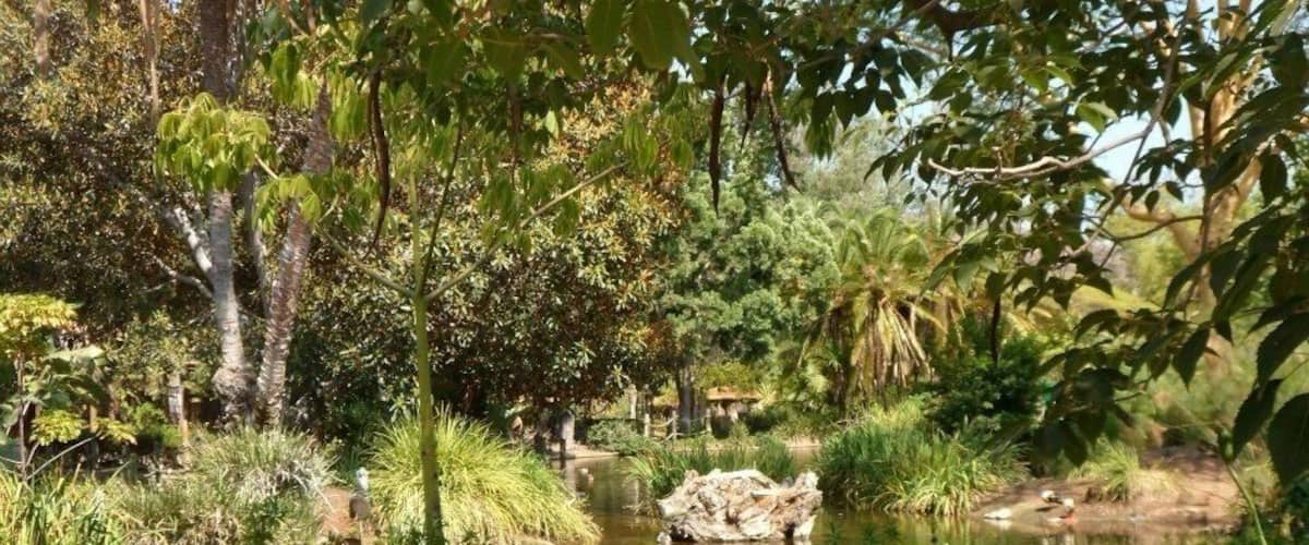 Wildlife park just outside San Diego.