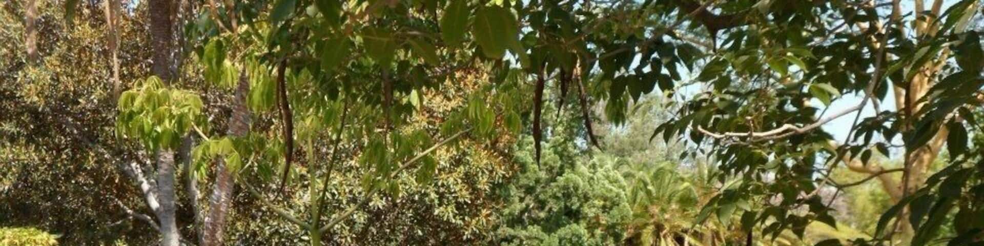 Wildlife park just outside San Diego.