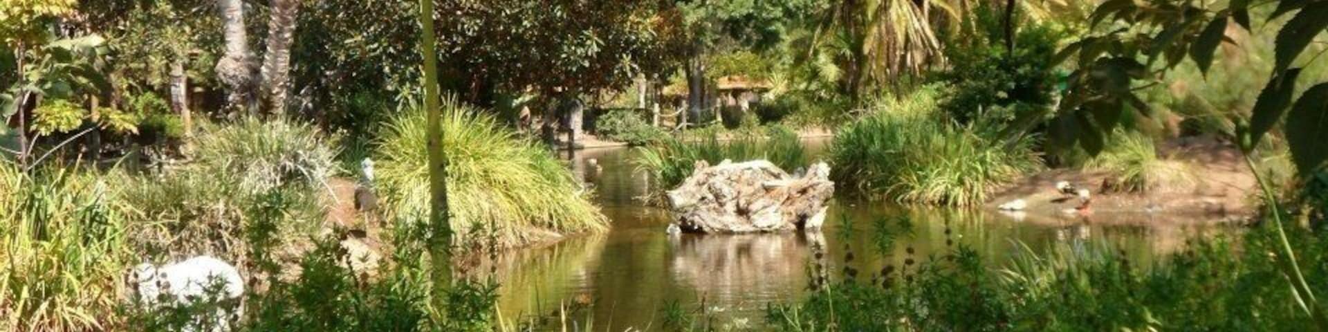 Wildlife park just outside San Diego.