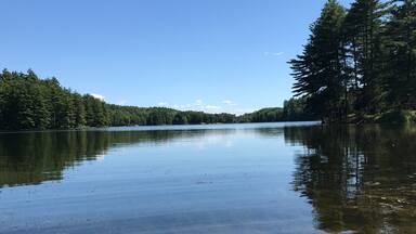 Amazing place for kayaks or paddle boards. Quiet, peaceful, and beautiful.
