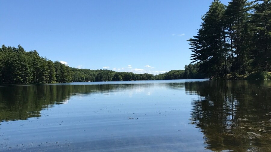 Amazing place for kayaks or paddle boards. Quiet, peaceful, and beautiful.