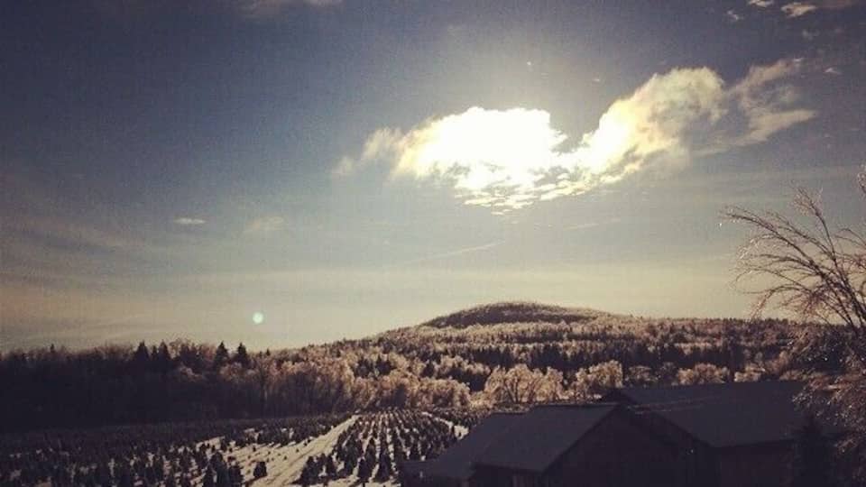 A snow-covered landscape with a barn and a field of trees.